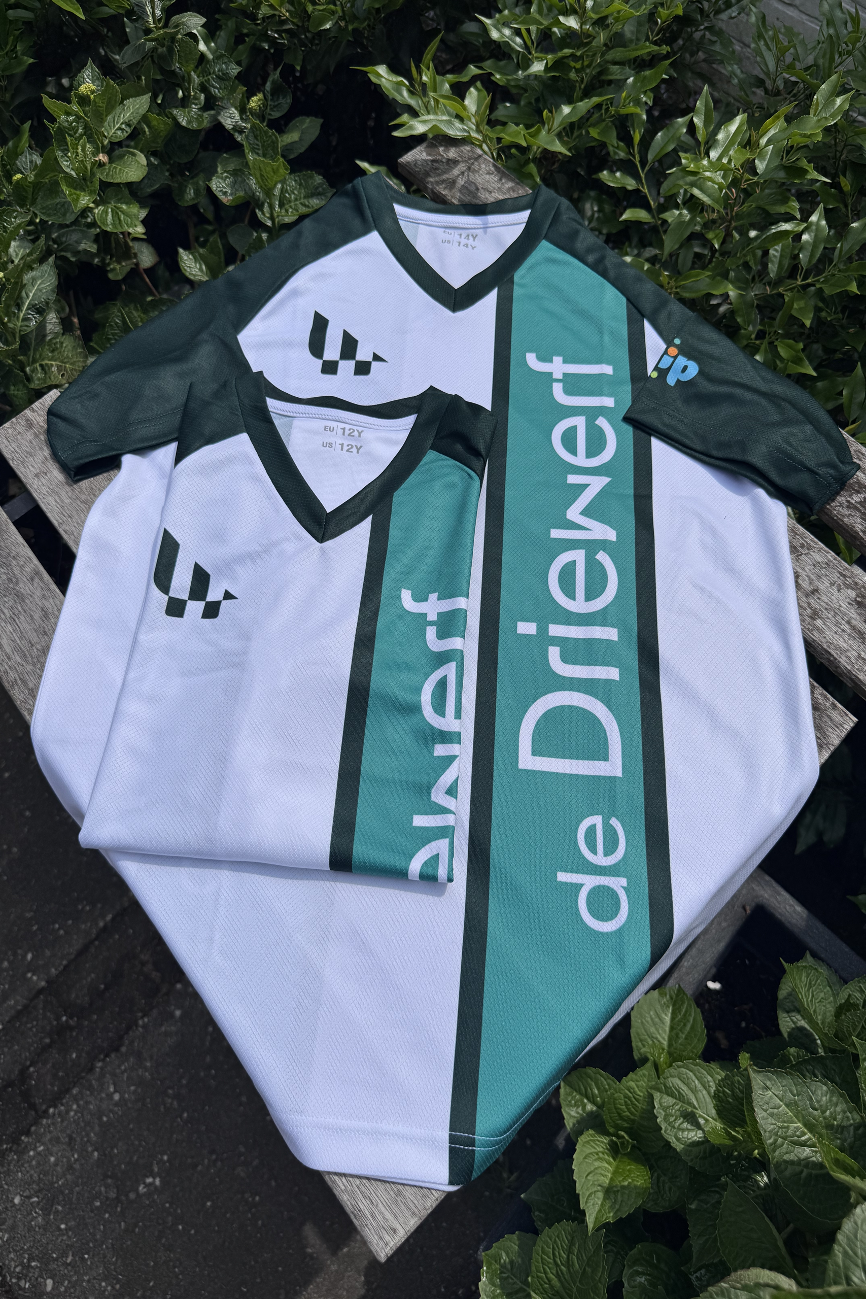 De Driewerf